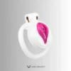 Anatomical Vulva Chastity Cage