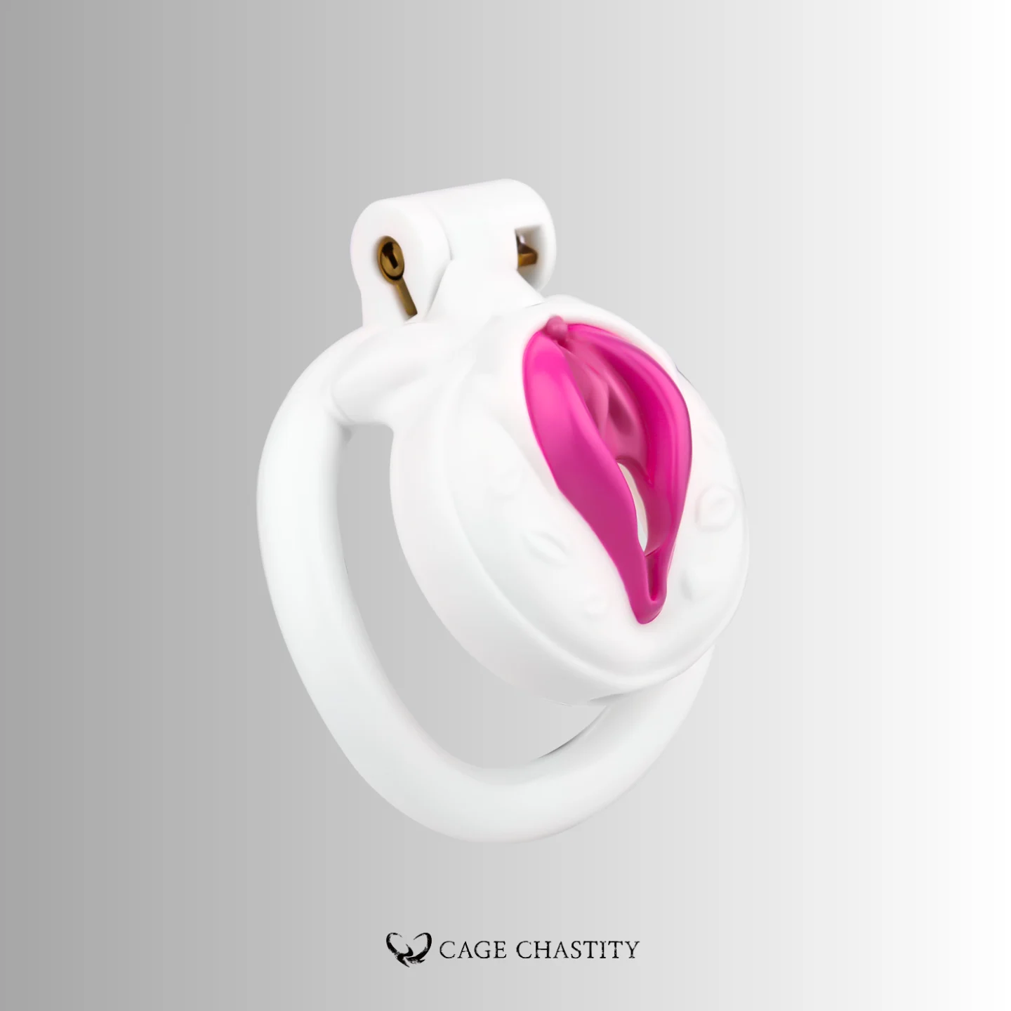 Anatomical Vulva Chastity Cage