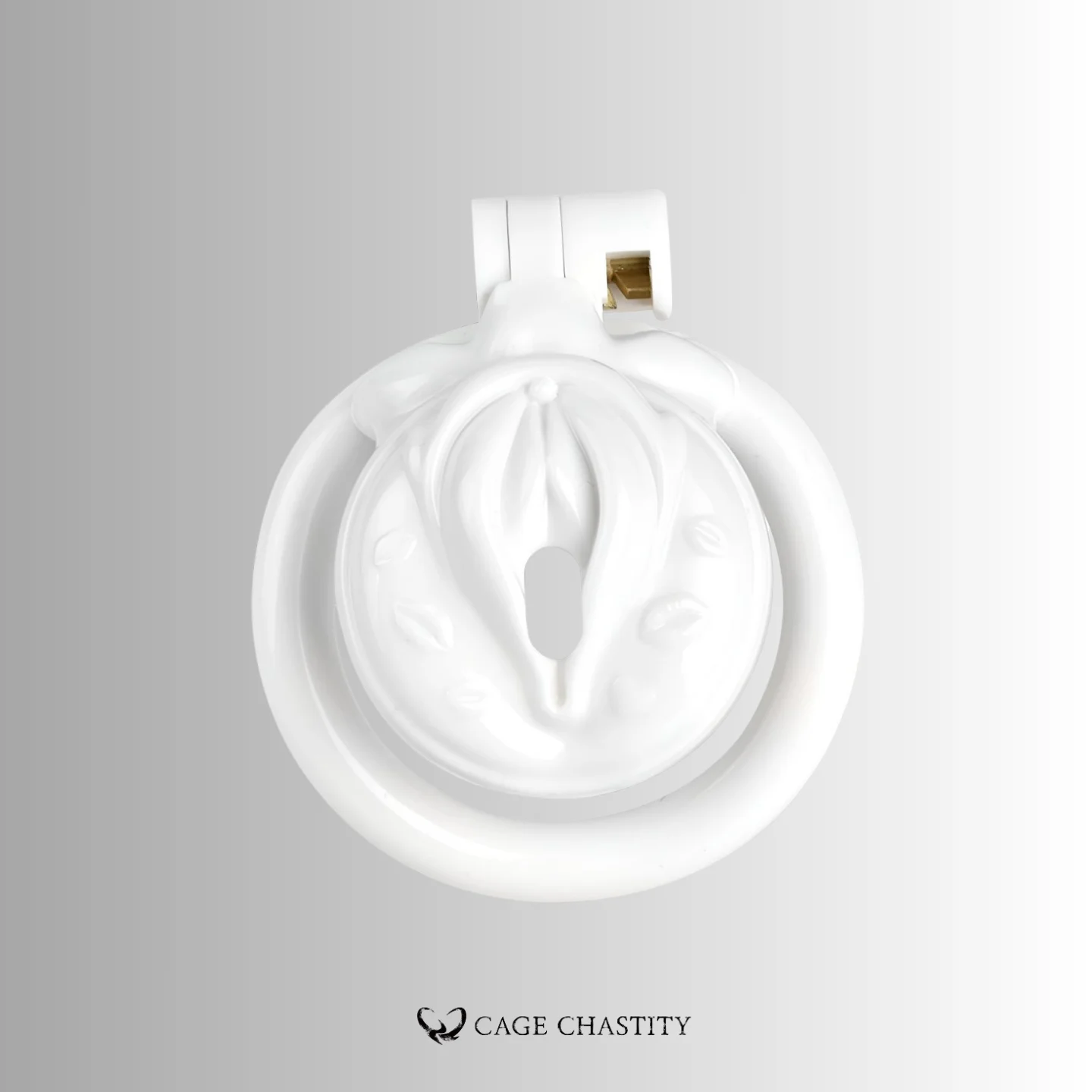 Anatomical Vulva Chastity Cage