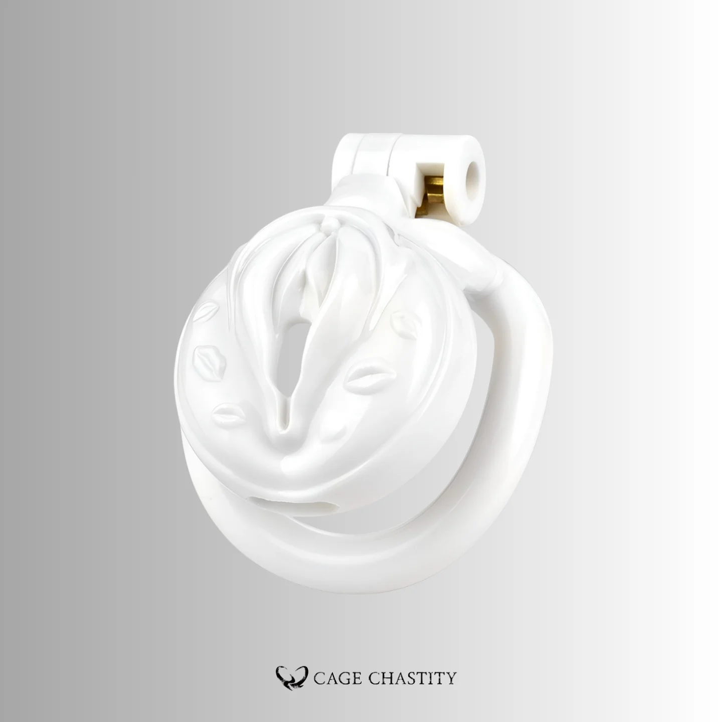 Anatomical Vulva Chastity Cage
