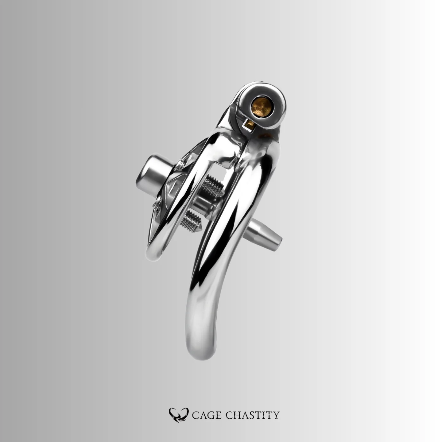 Discipline Flat Chastity Cage – Removable Spikes – CCK1078