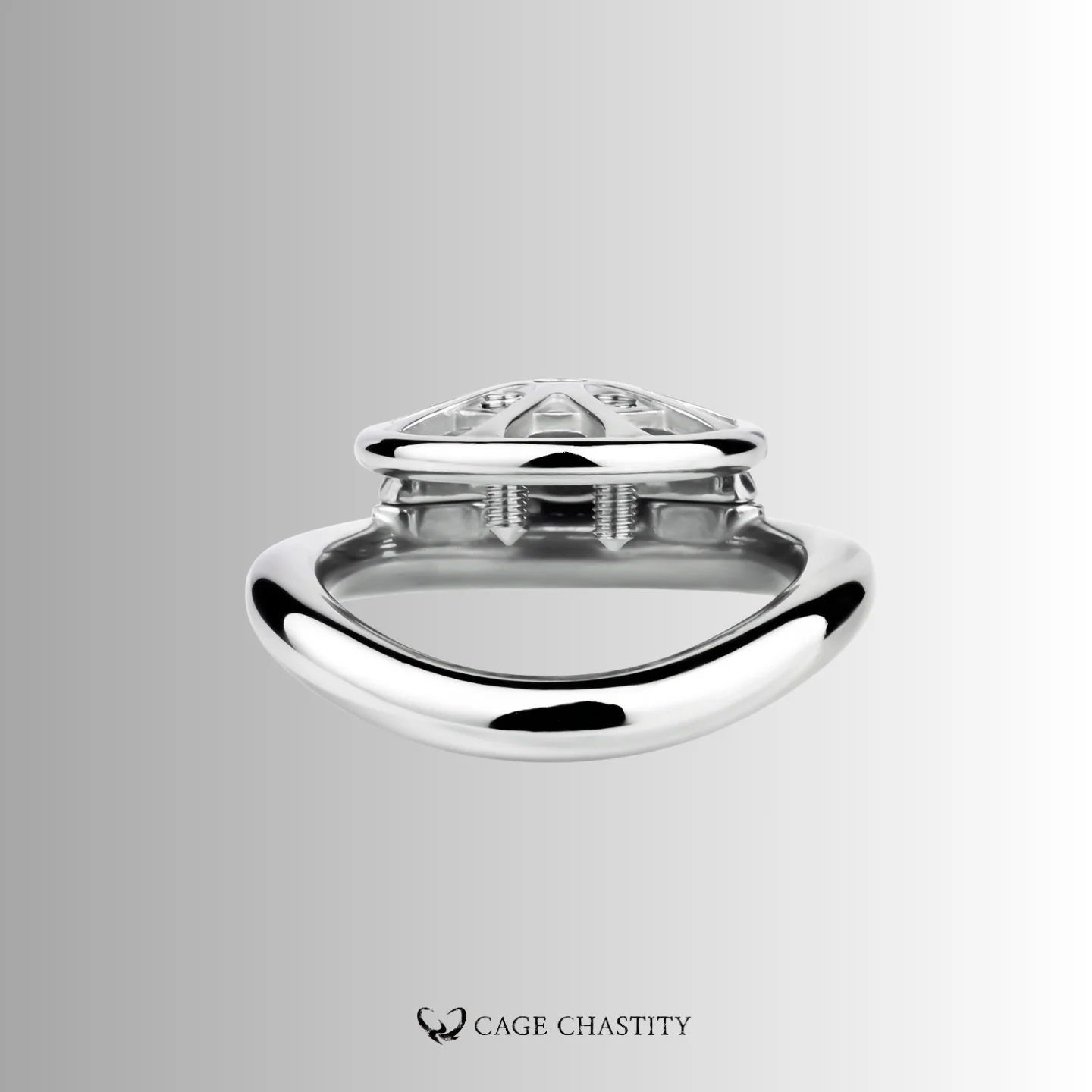 Discipline Flat Chastity Cage – Removable Spikes – CCK1078