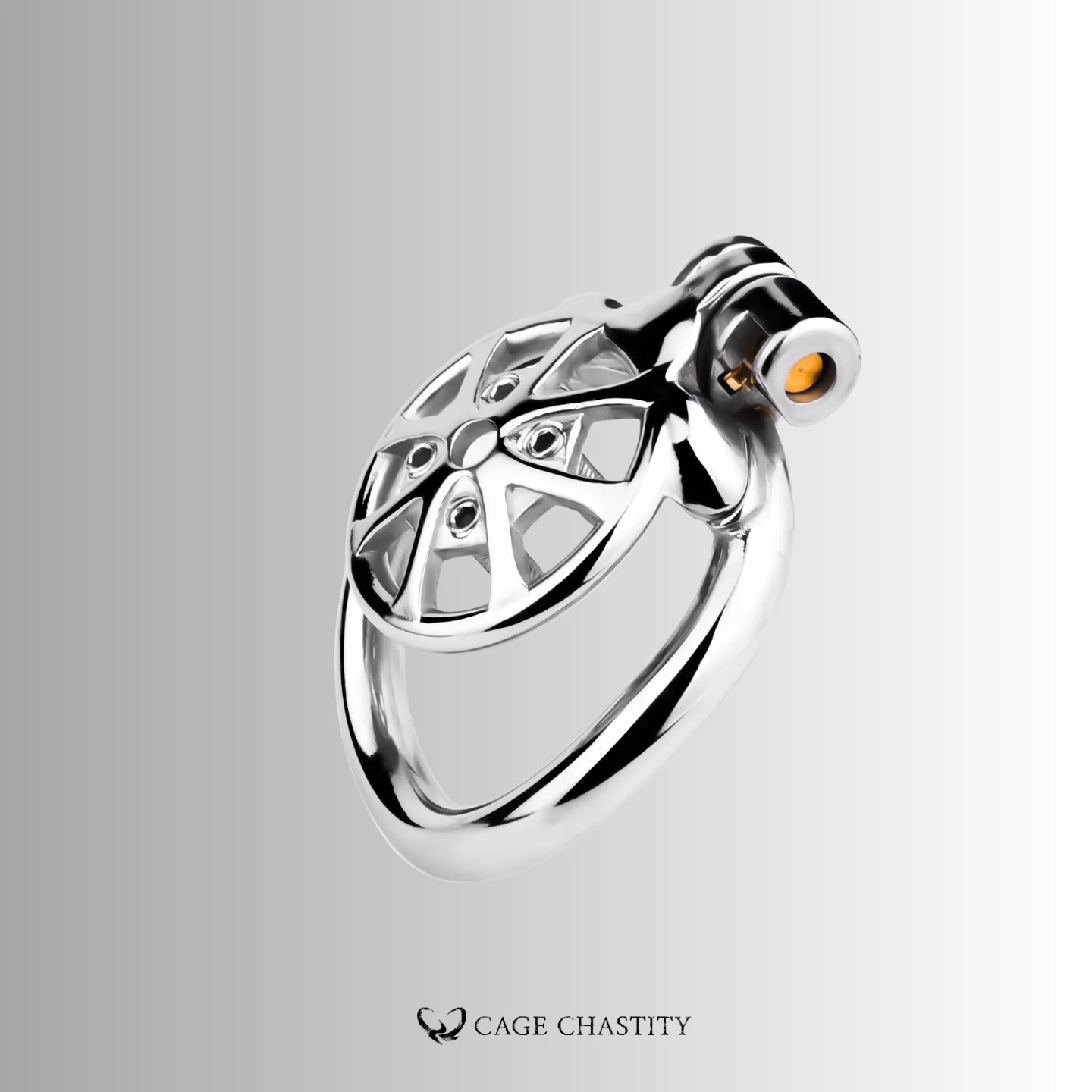 Discipline Flat Chastity Cage – Removable Spikes – CCK1078