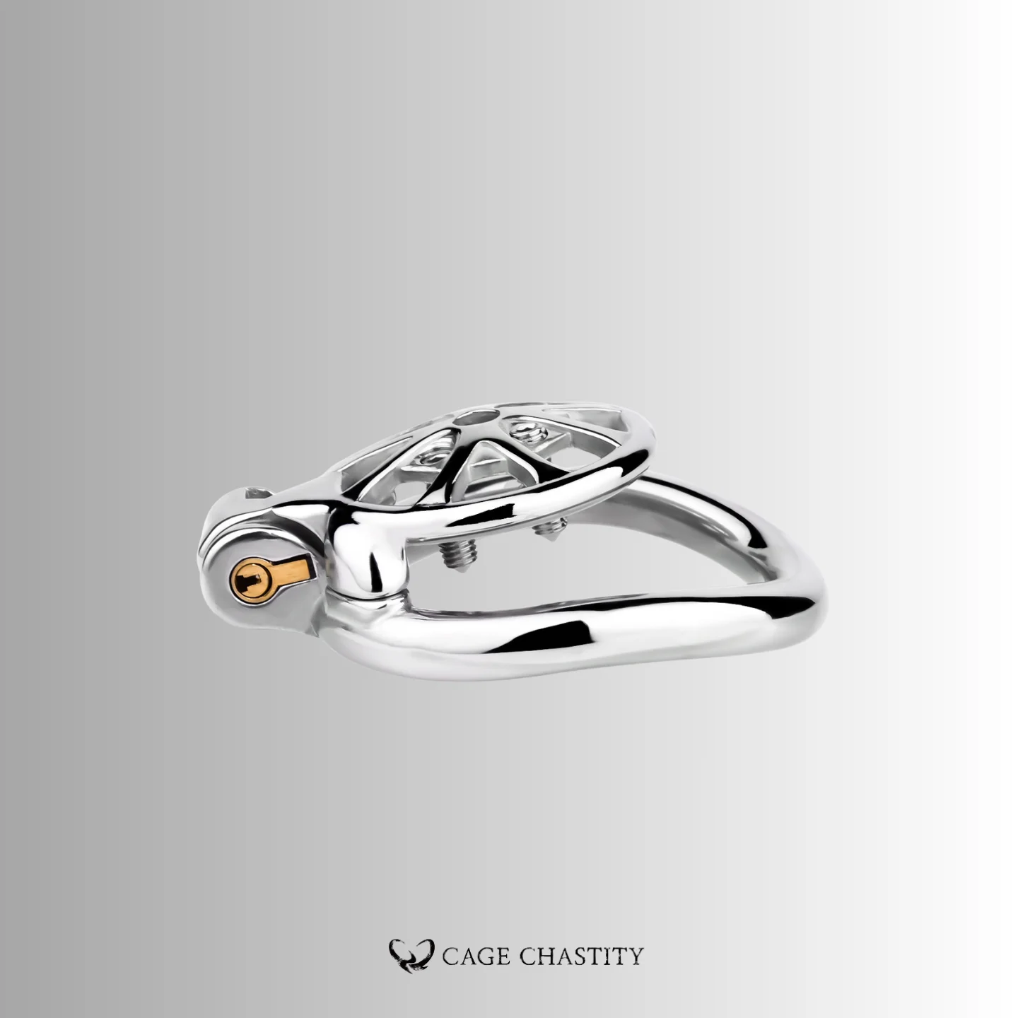 Discipline Flat Chastity Cage – Removable Spikes – CCK1078