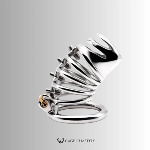 Helix Punishment Chastity Cage – CCK1192