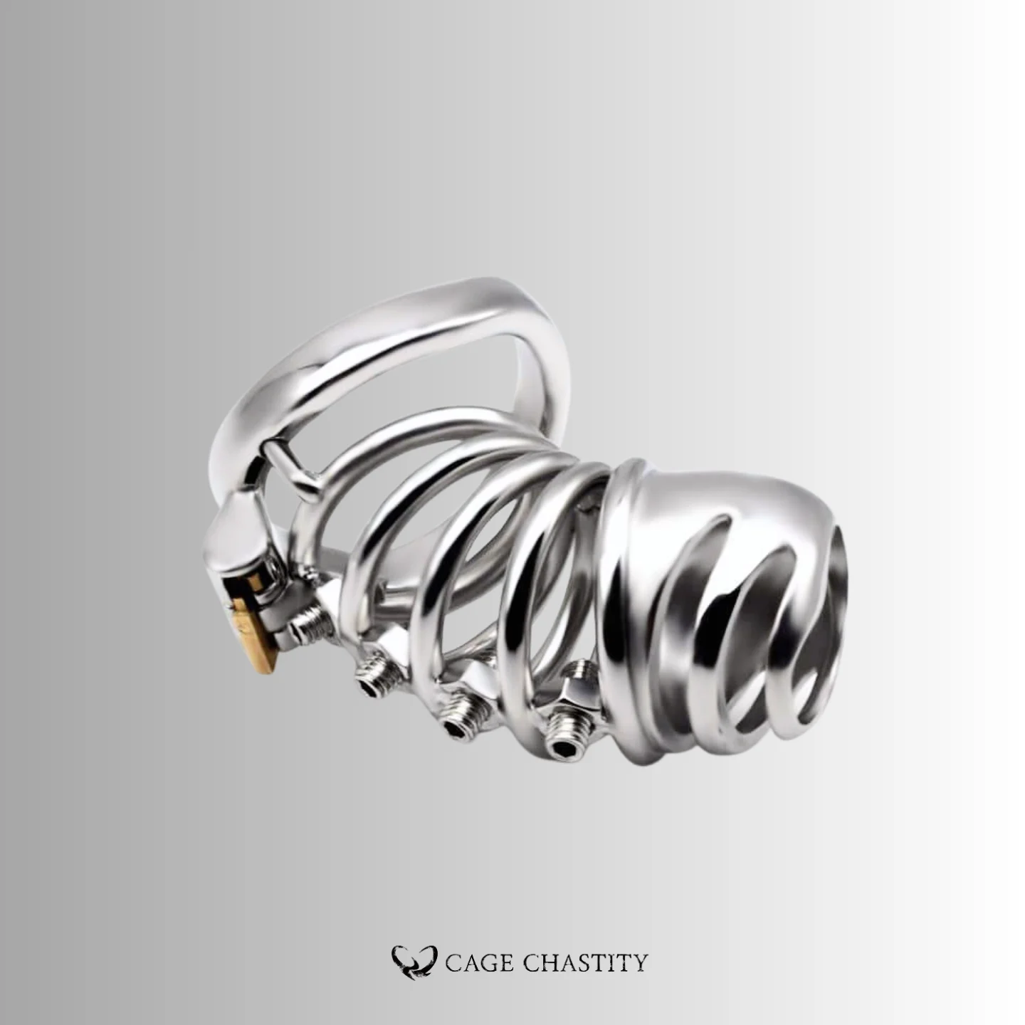 Helix Punishment Chastity Cage – CCK1192