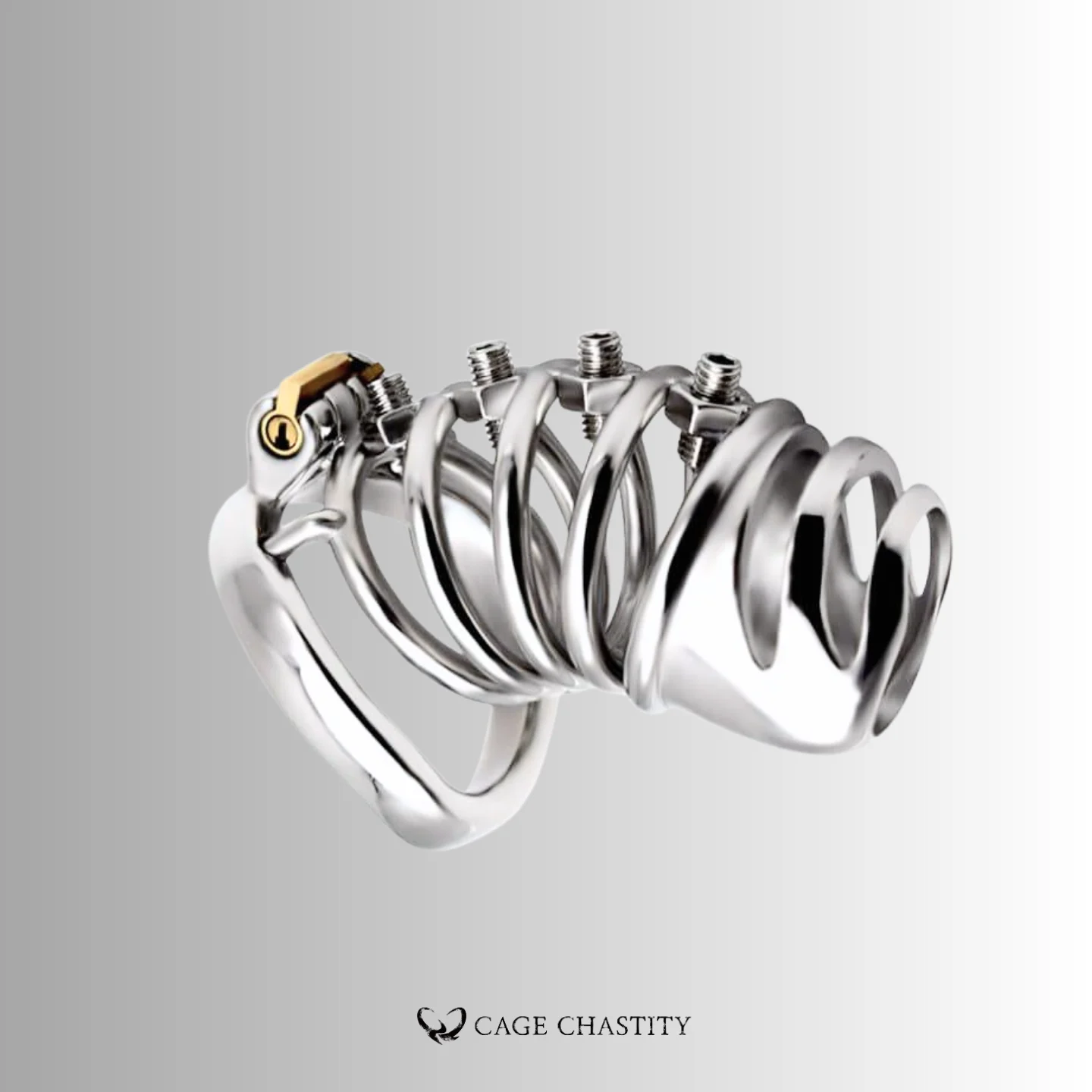 Helix Punishment Chastity Cage – CCK1192