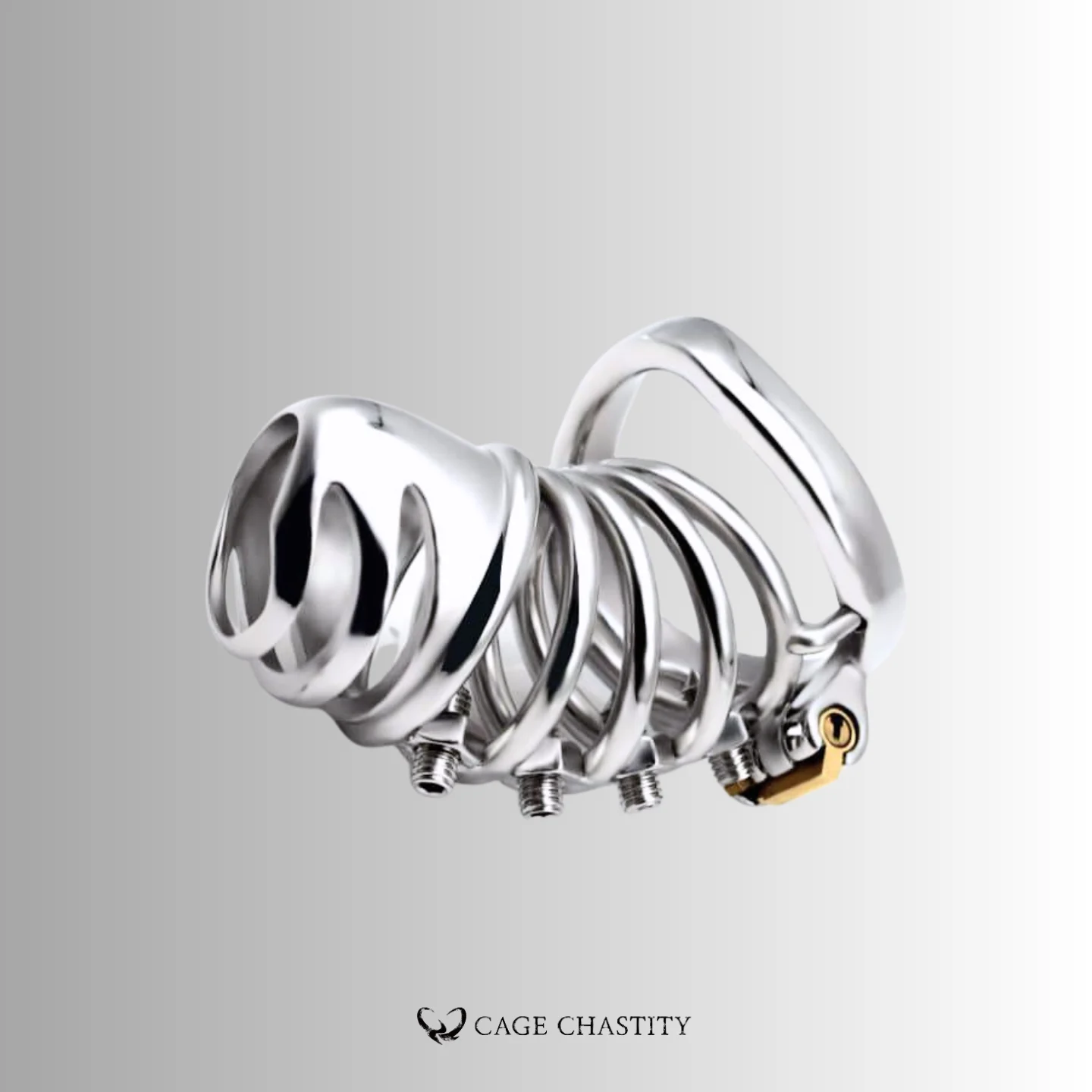 Helix Punishment Chastity Cage – CCK1192