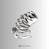 Helix Punishment Chastity Cage – CCK1192