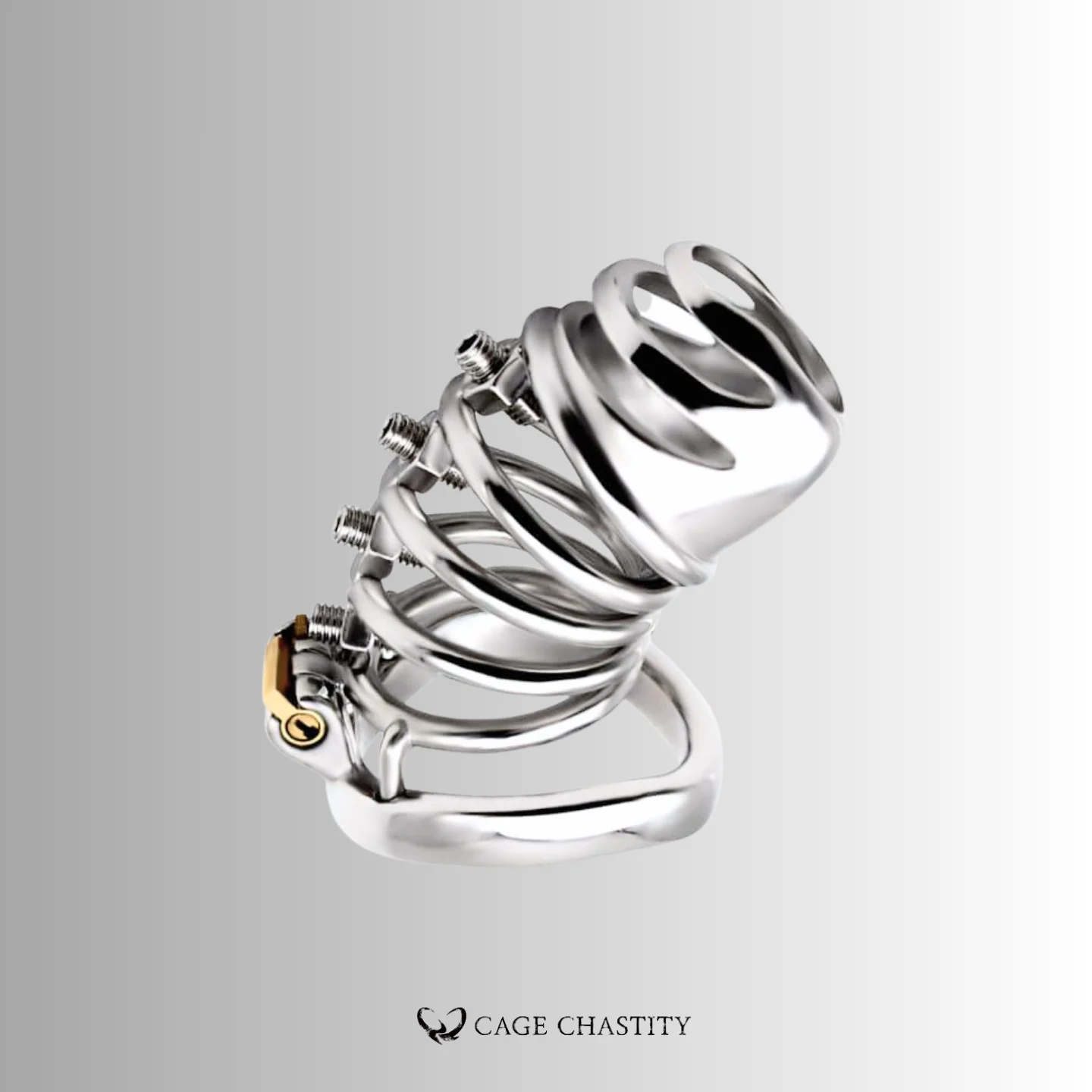 Helix Punishment Chastity Cage – CCK1192
