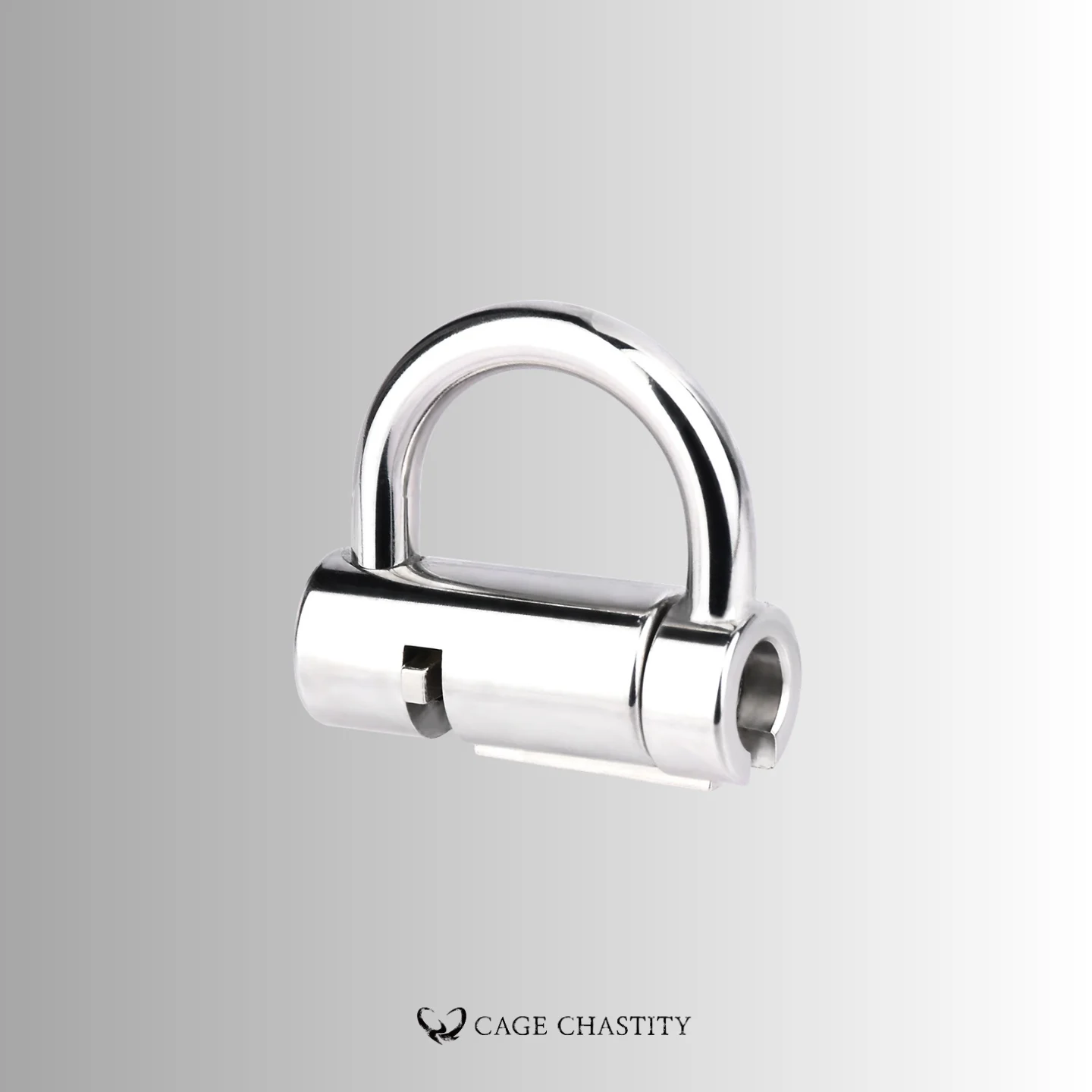 Mini Stainless Steel Chastity Padlock – 3 Sizes
