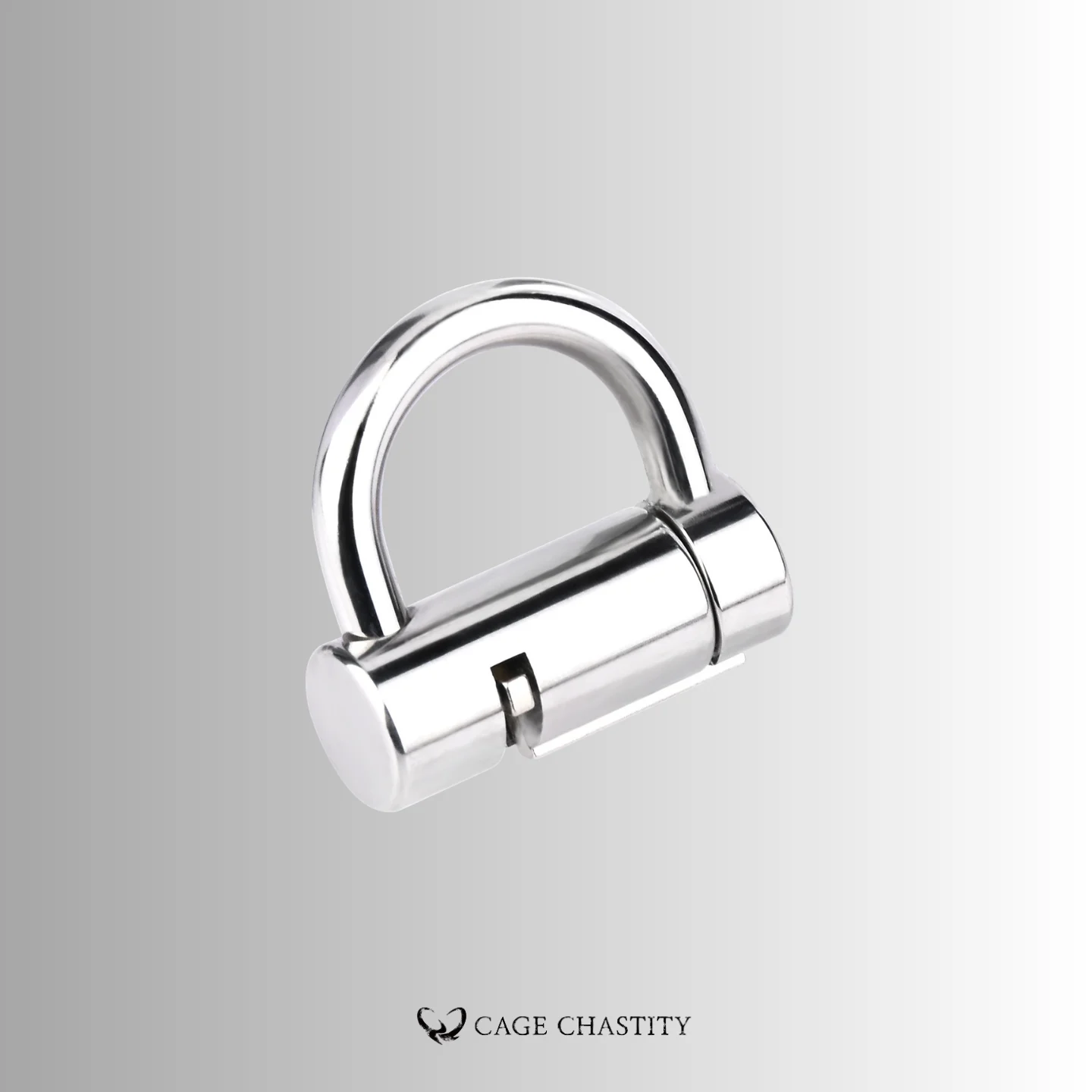 Mini Stainless Steel Chastity Padlock – 3 Sizes