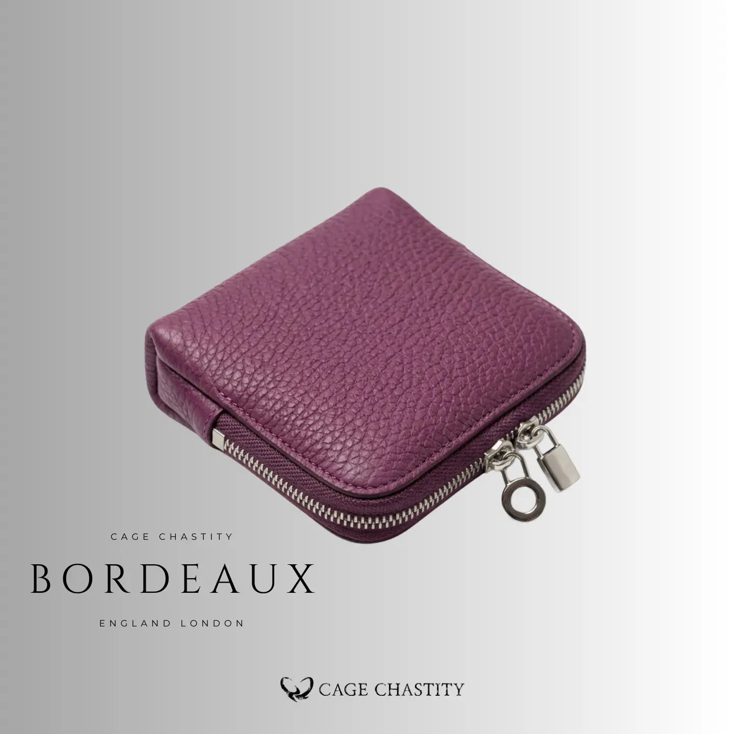 Full-Grain Leather Chastity Storage Case – 6-Compartment Organizer