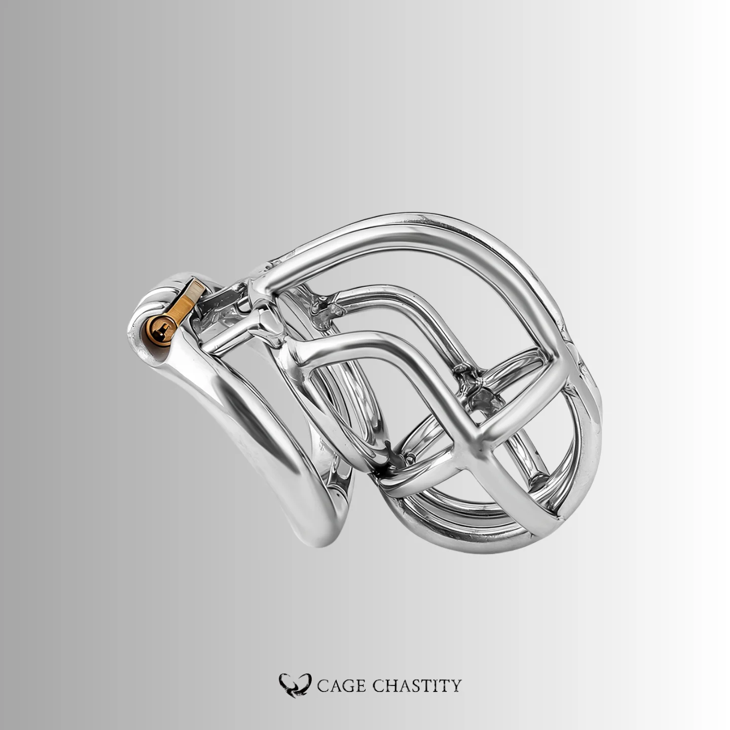 NO PAROLE Chastity Cage – LK07