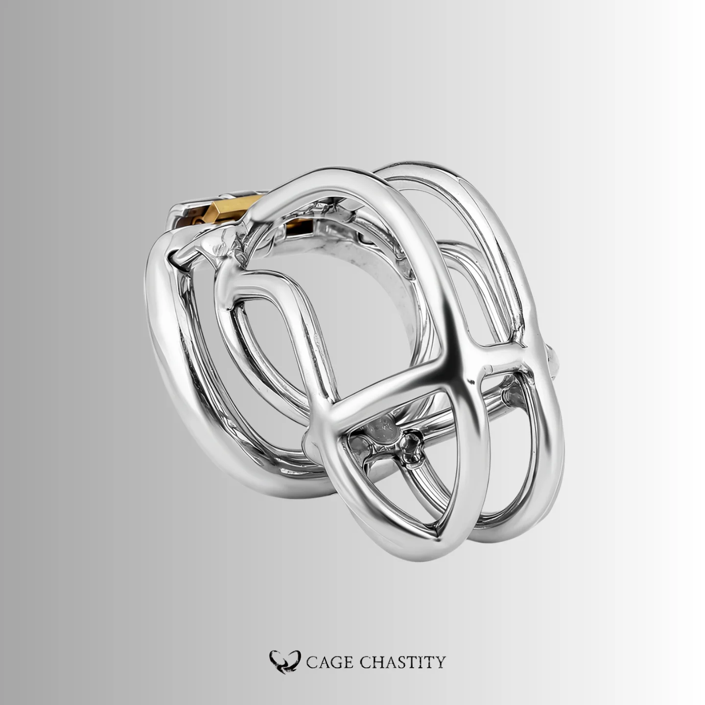 NO PAROLE Chastity Cage – LK07
