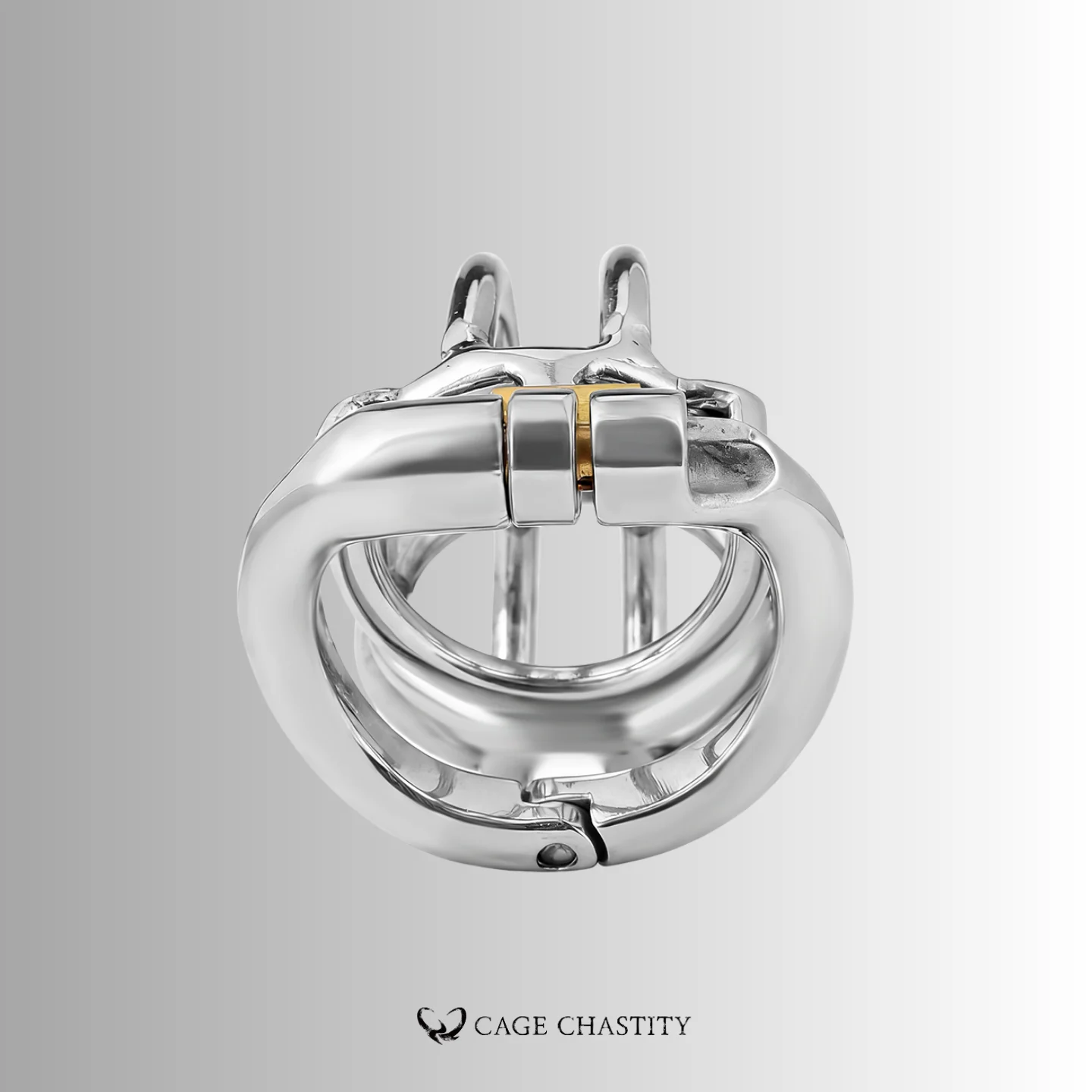 NO PAROLE Chastity Cage – LK07