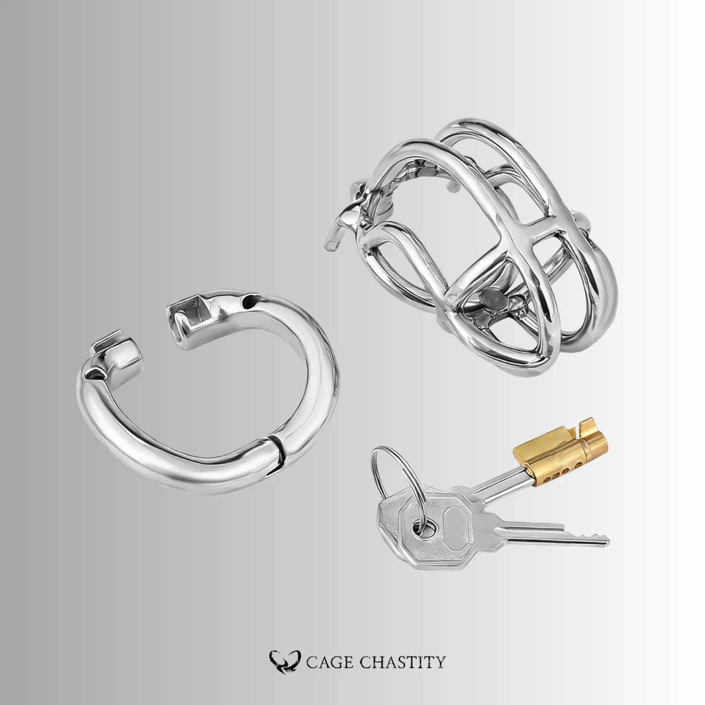 NO PAROLE Chastity Cage – LK07
