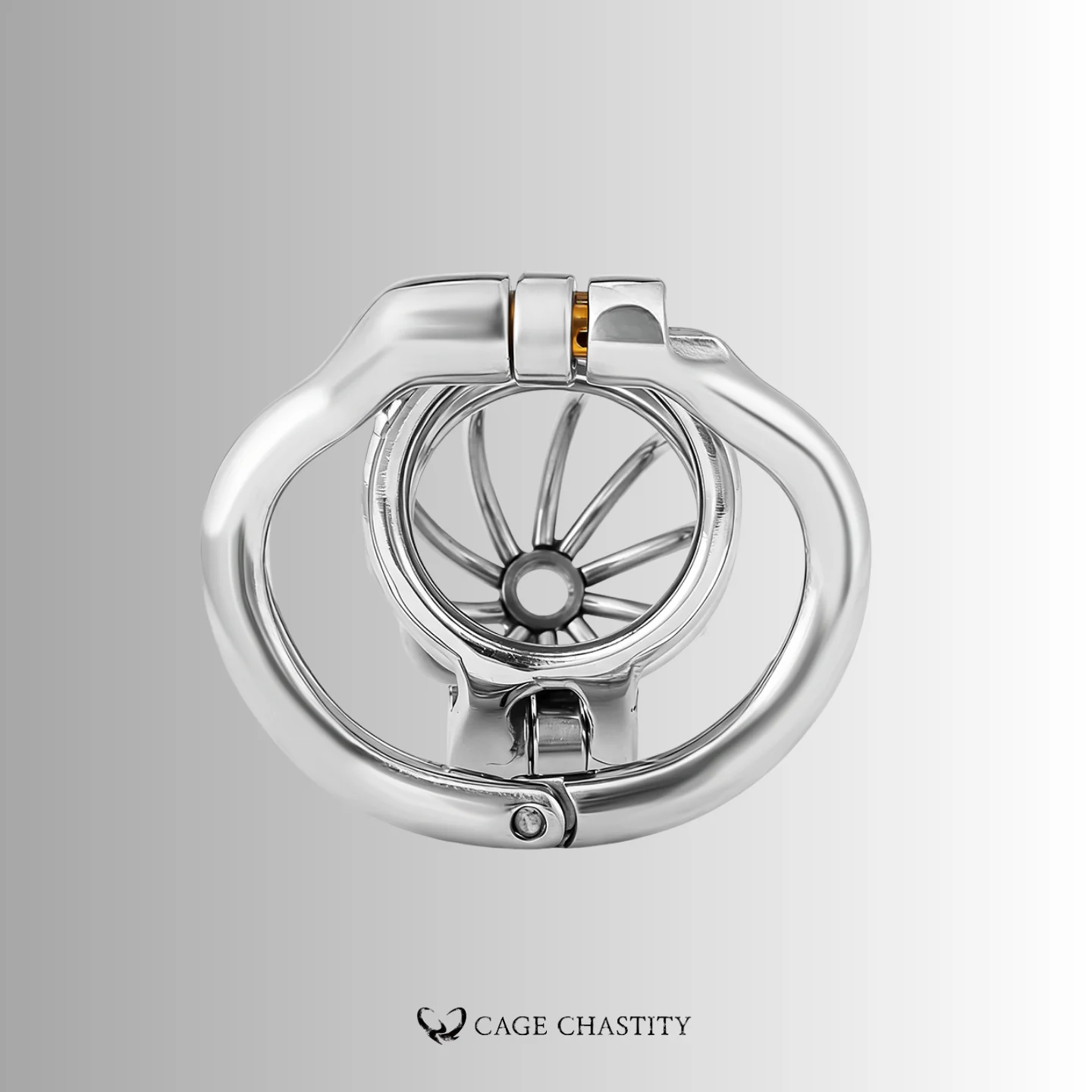 Dual-Lock Steel Chastity Cage – LK09