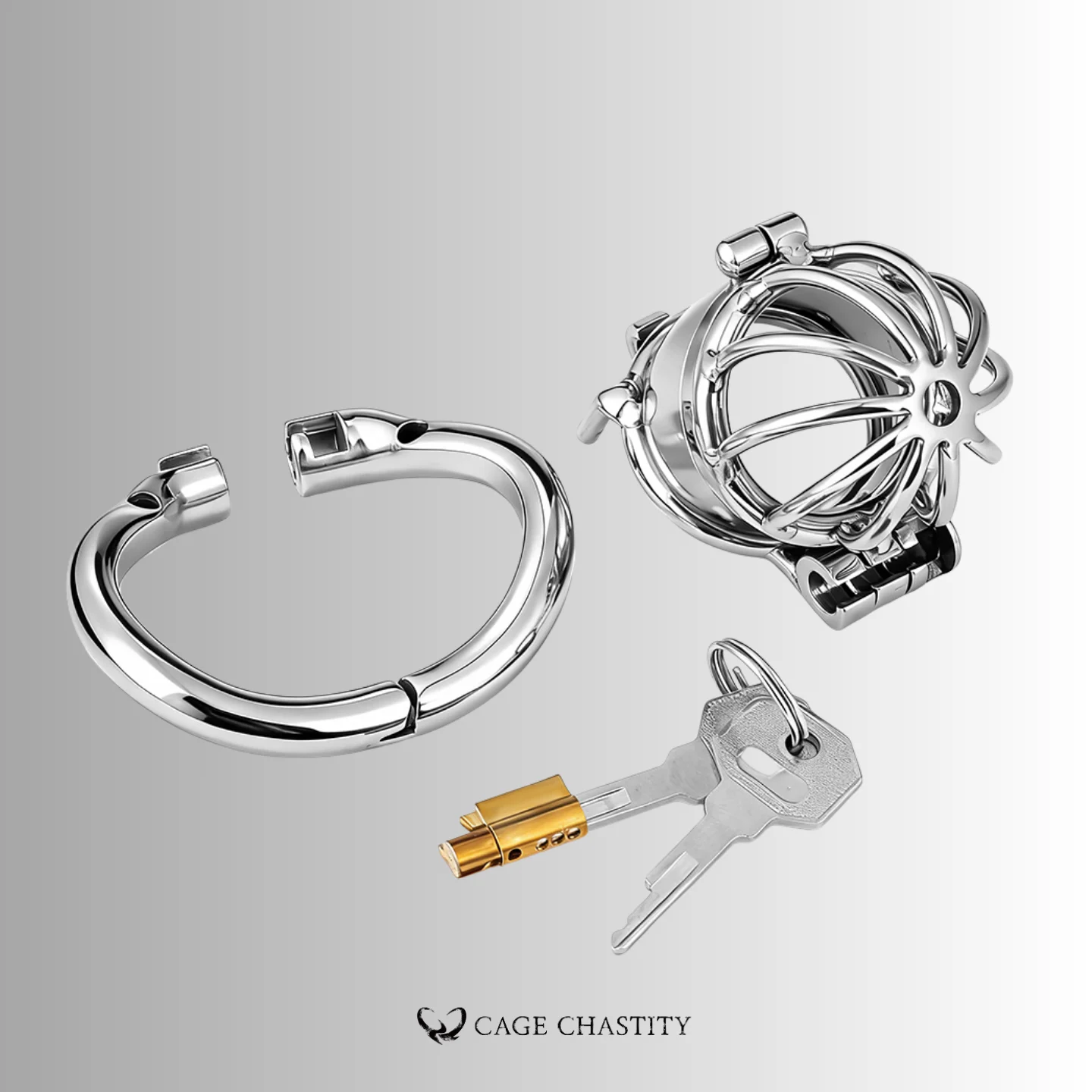 Dual-Lock Steel Chastity Cage – LK09