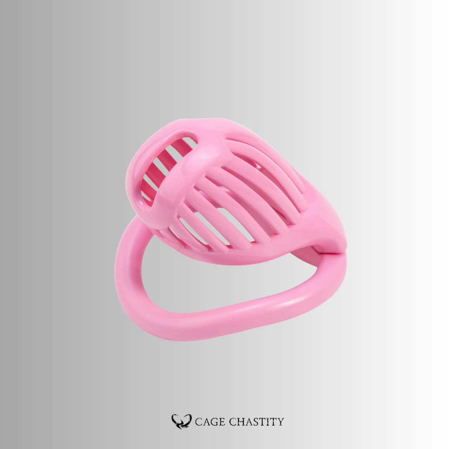 NO PAROLE Chastity Cage