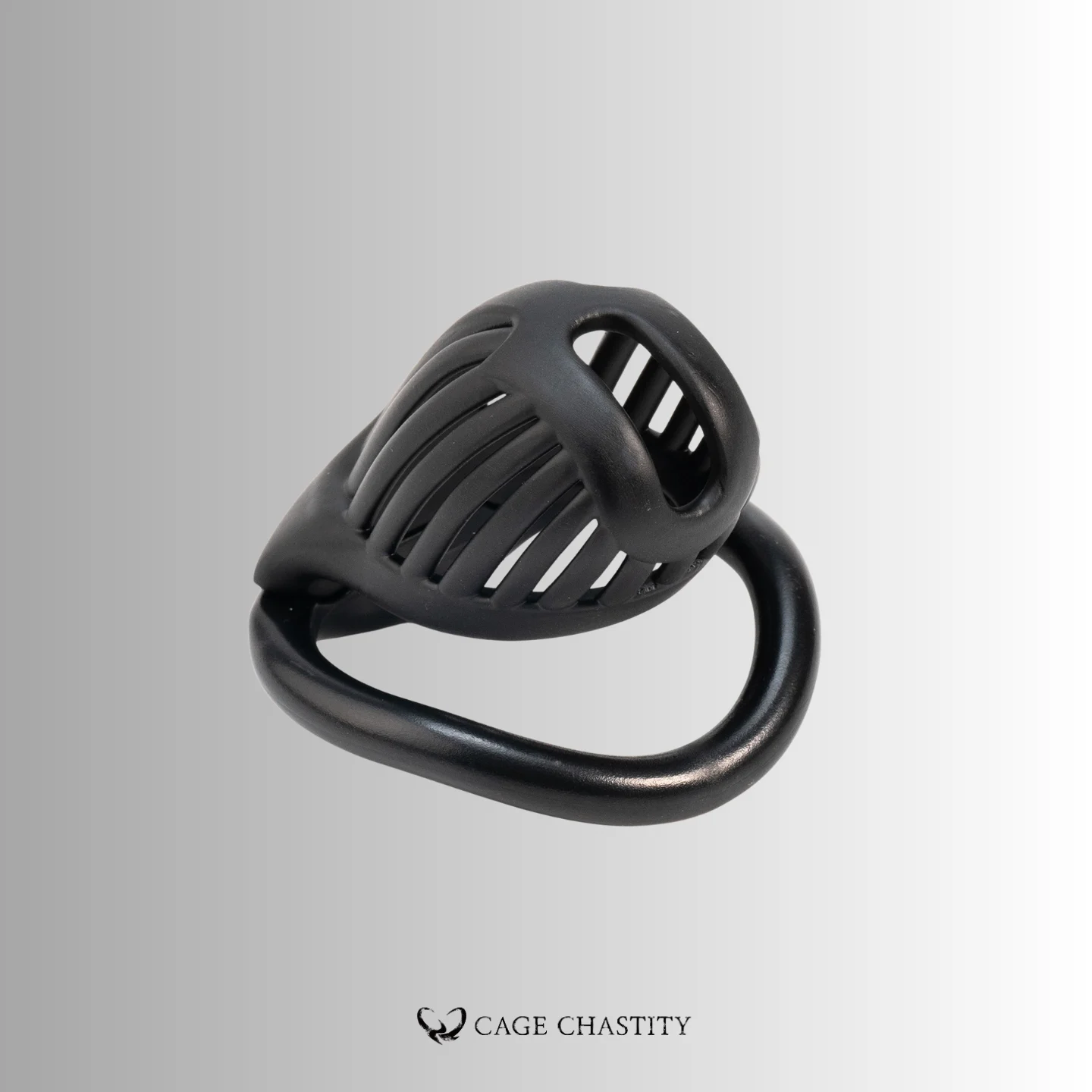 NO PAROLE Chastity Cage