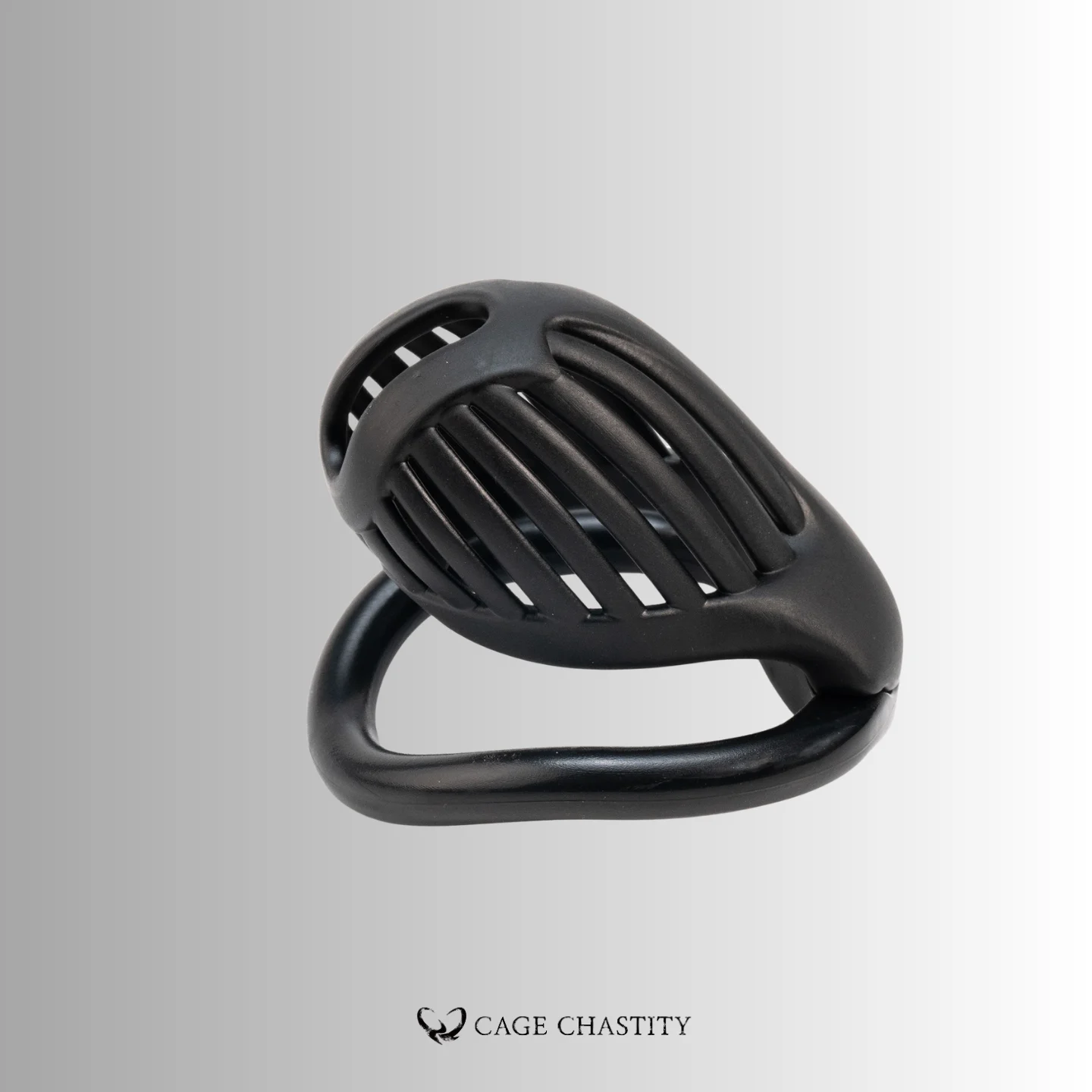 NO PAROLE Chastity Cage