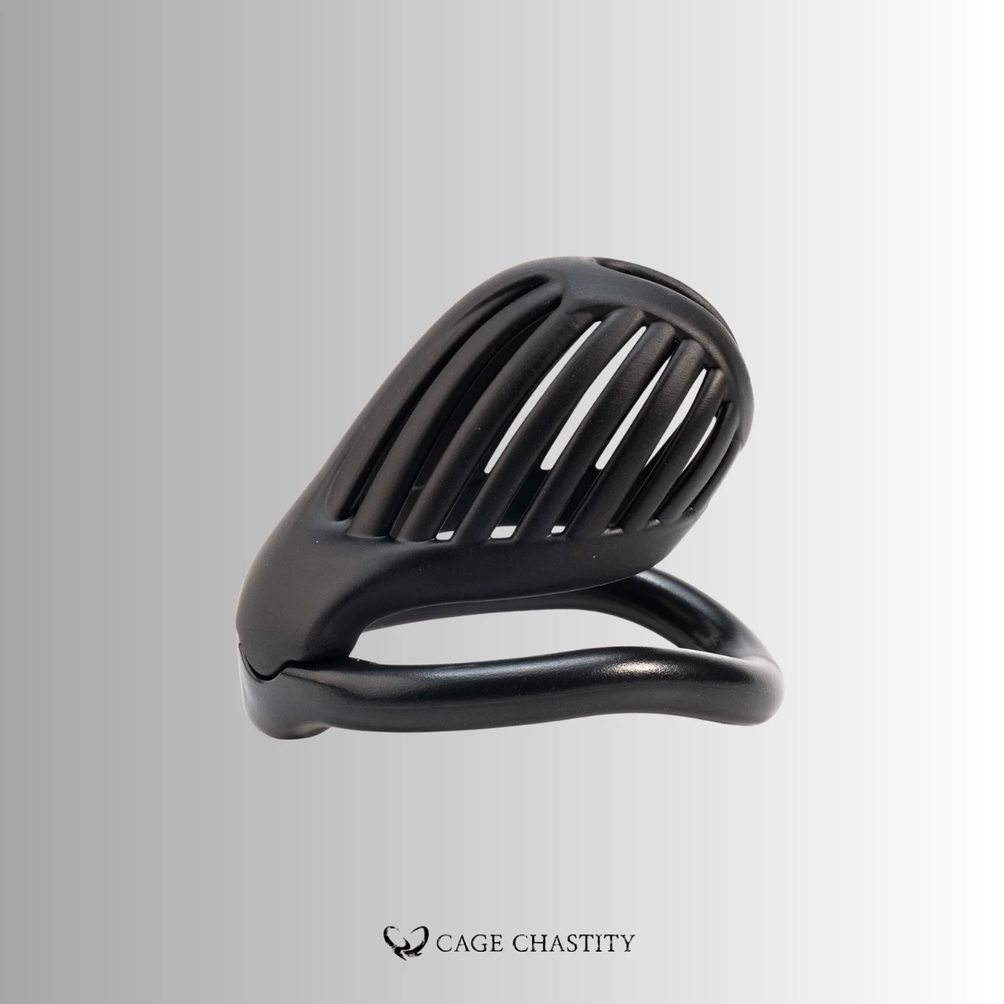 NO PAROLE Chastity Cage