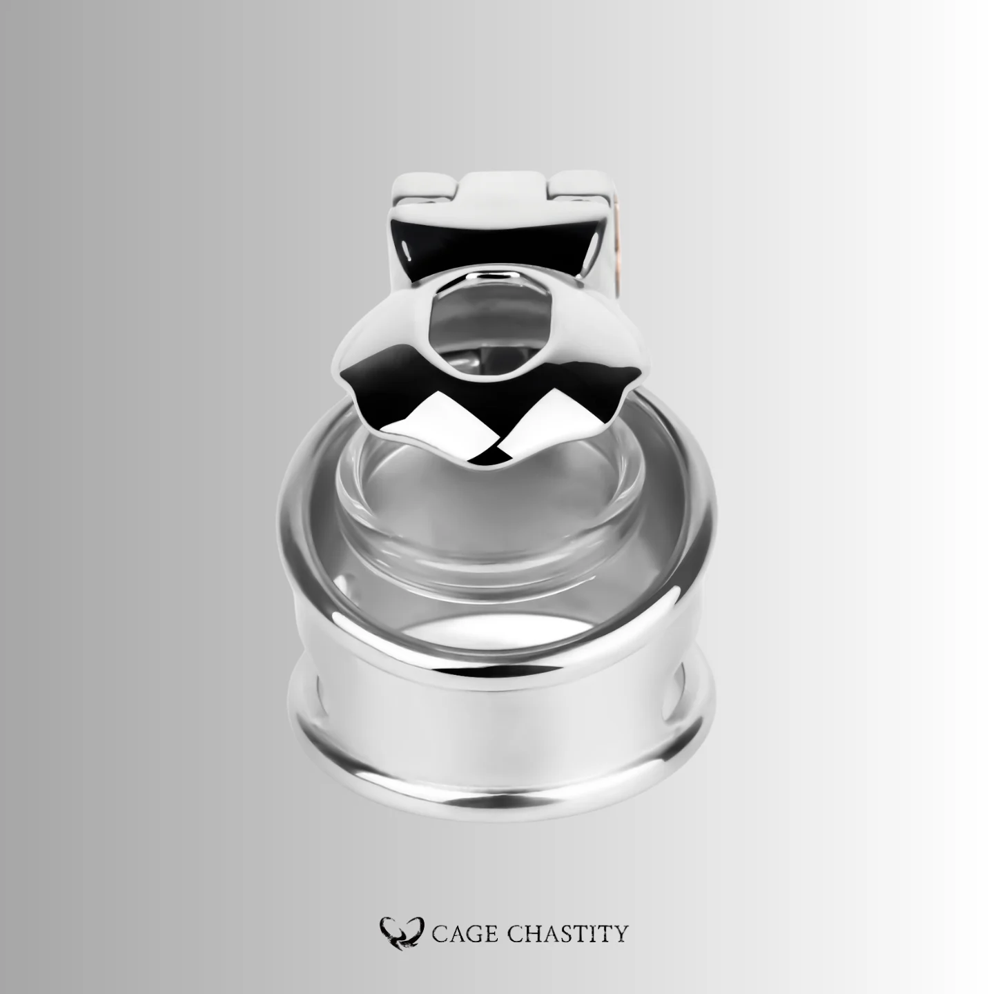 No Base Ring Chastity Cage – CCK1217