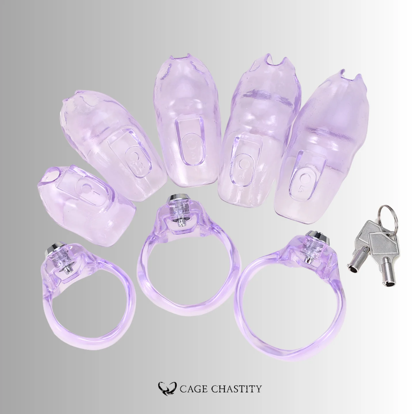 Lavender Holy Trainer V5