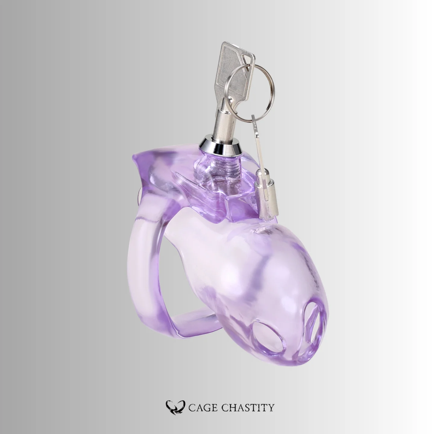 Lavender Holy Trainer V5