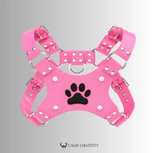 PAWLOCK – Custom Silicone Harness Set