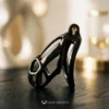 DEVIL KEEPER – Cobra Chastity Cage – CC10