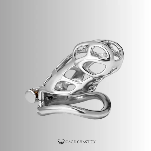 Silver Cobra Arc Ring Steel Chastity Cage – CC45