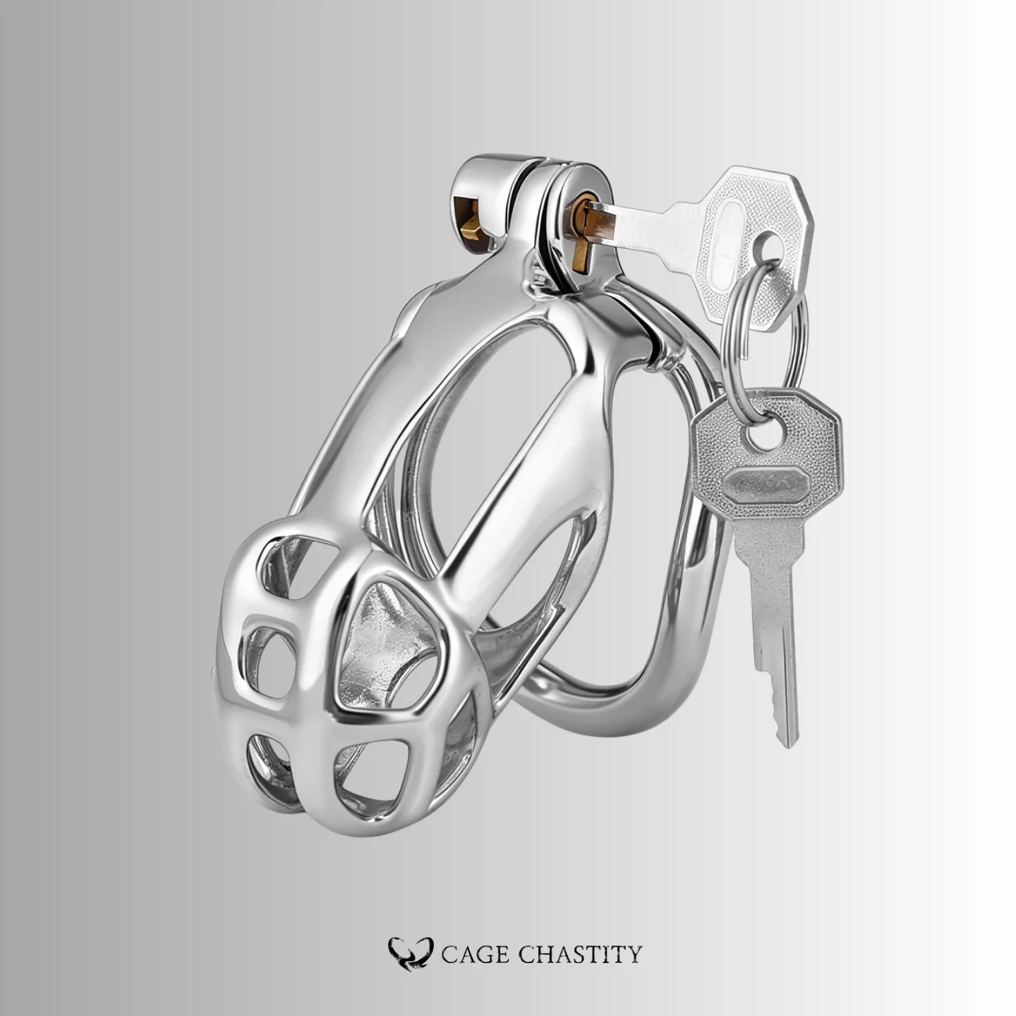 Silver Cobra Arc Ring Steel Chastity Cage – CC45