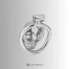Silver Cobra Arc Ring Steel Chastity Cage – CC45