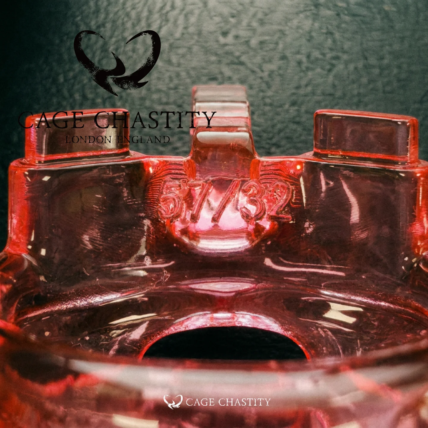 Custom Resin Cobra Chastity Cage