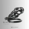 Custom Resin Cobra Chastity Cage