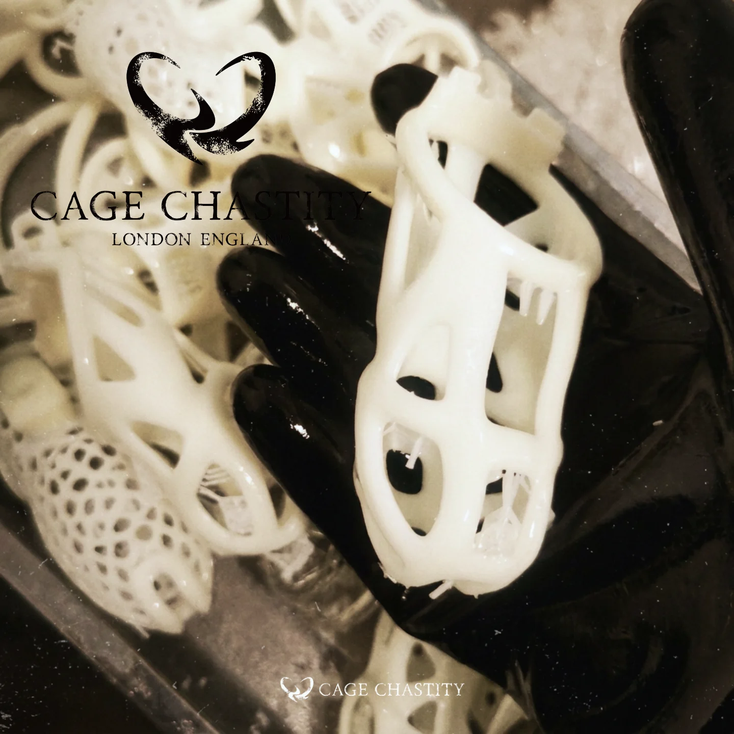 Custom Resin Cobra Chastity Cage