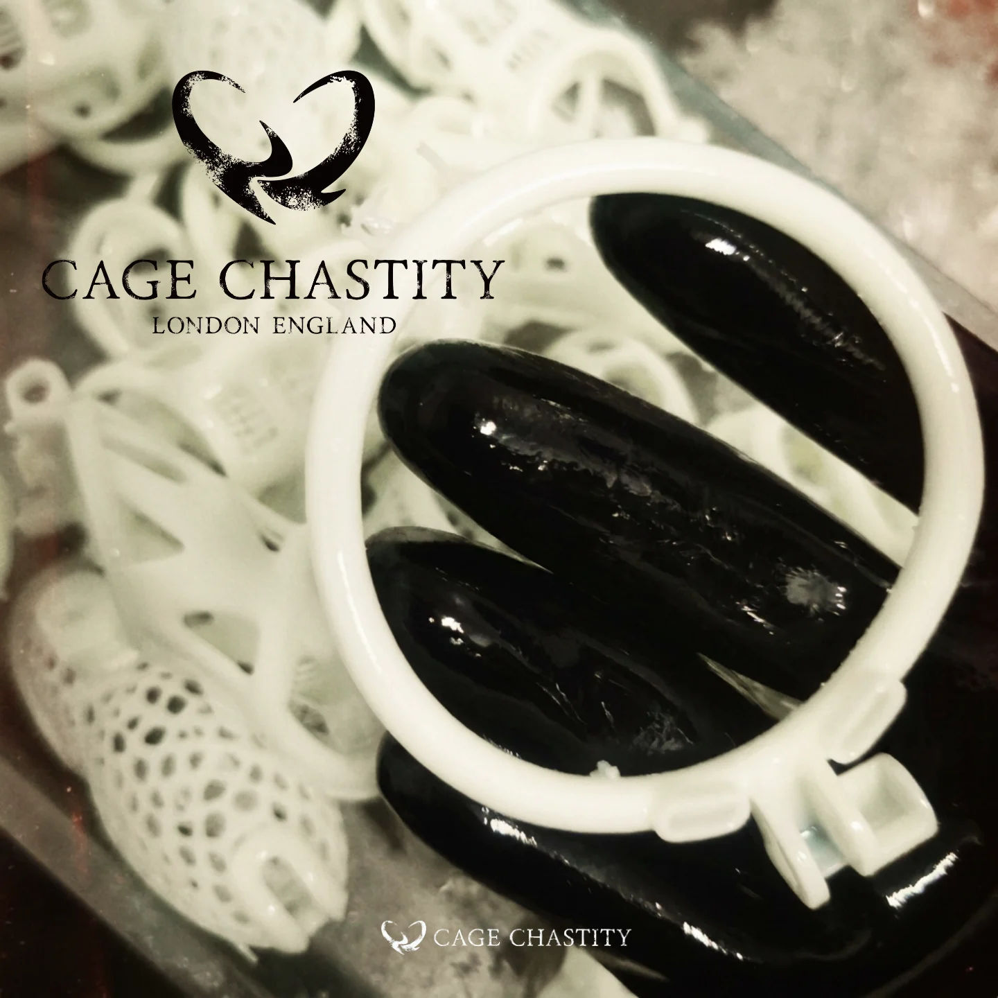 Custom Resin Cobra Chastity Cage