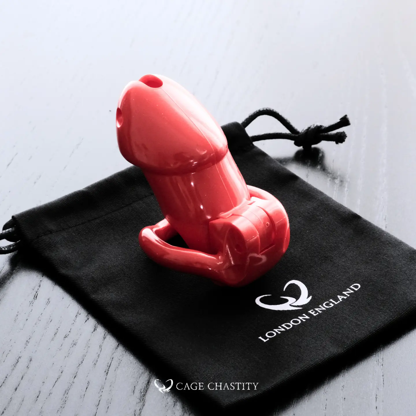 Holy Trainer V2