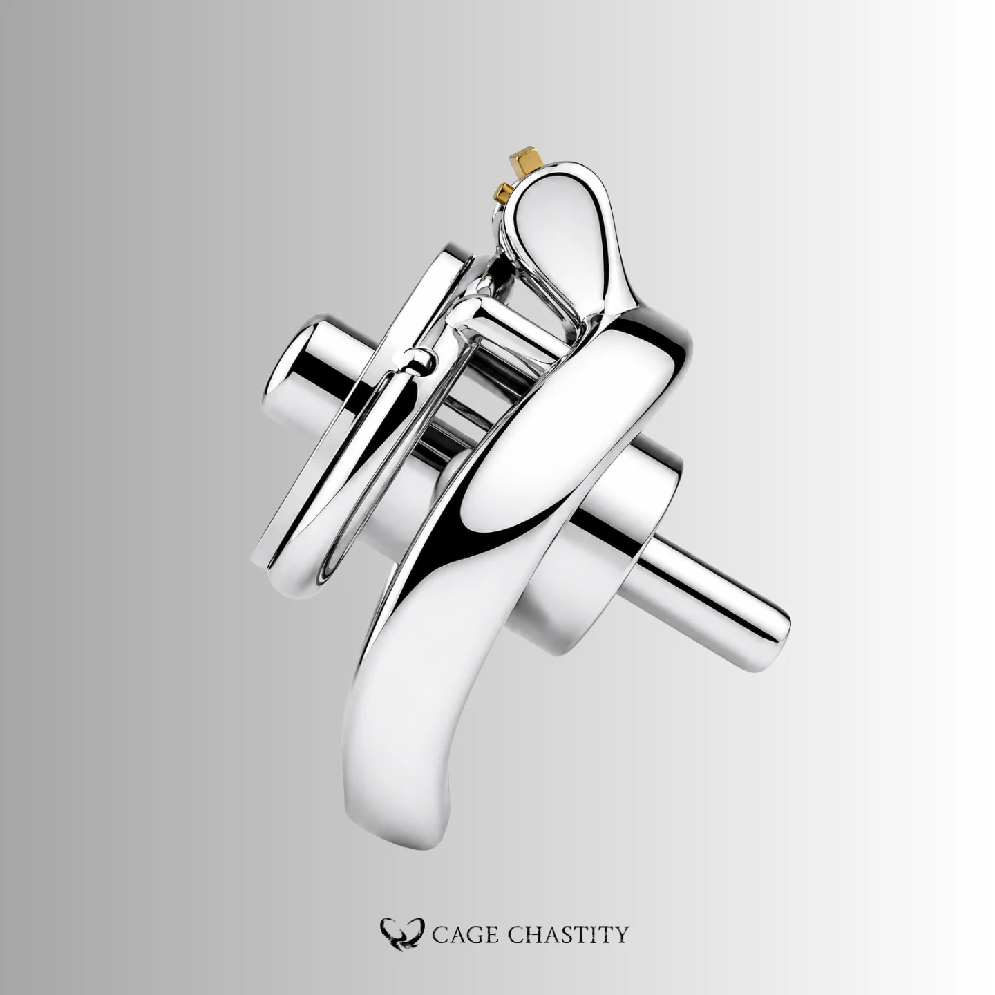 Chastity Cage Arc Ring - AC19