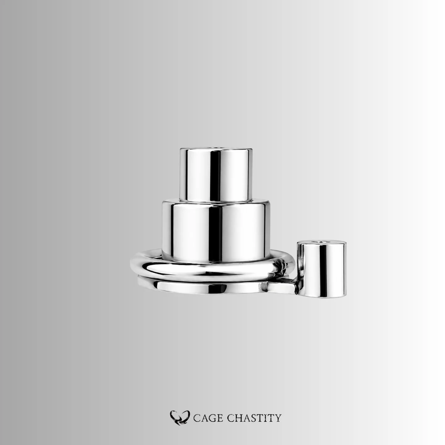 Hexvault Chastity Cage – Dual Layer – CC24