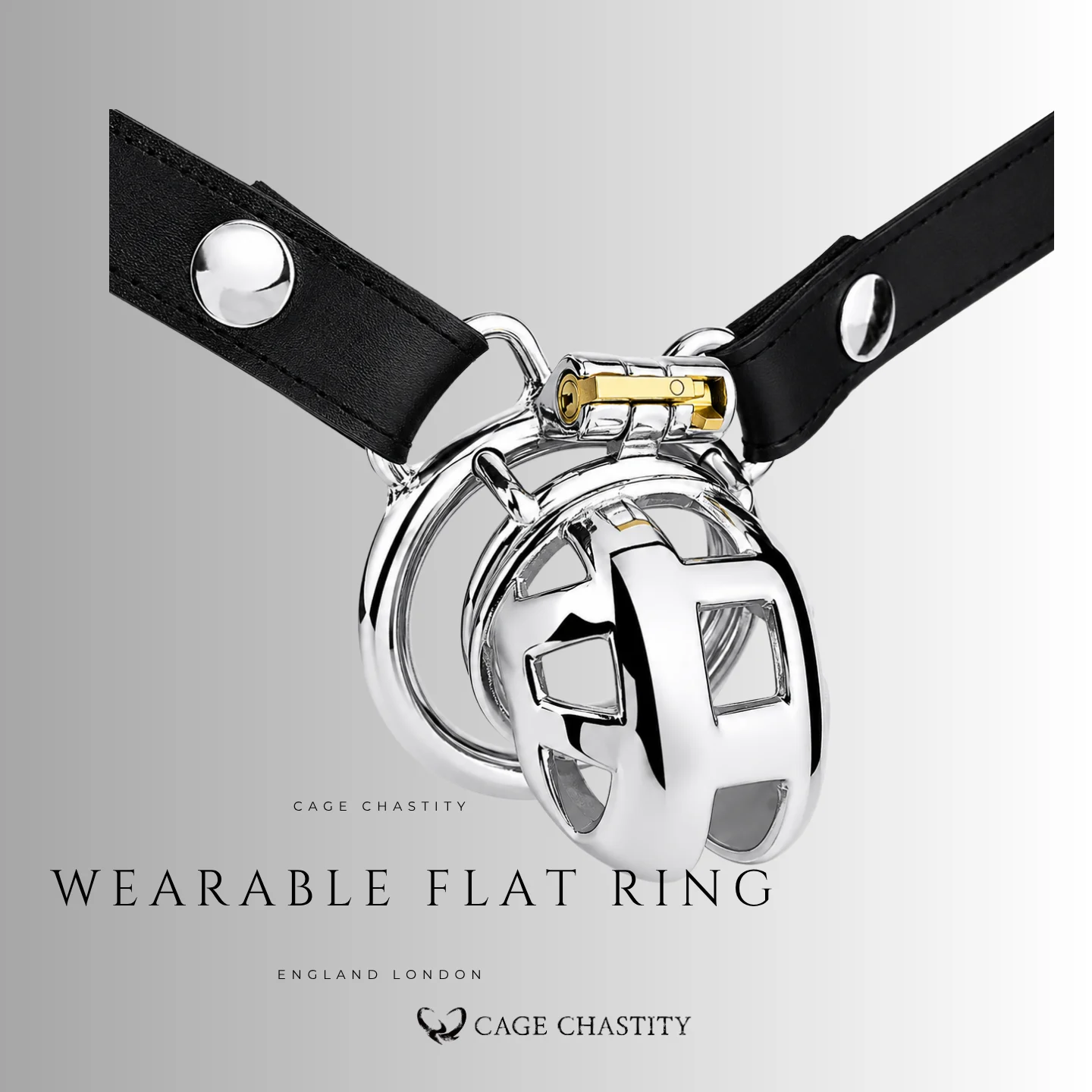 Classic Steel Cobra Lock – CC39