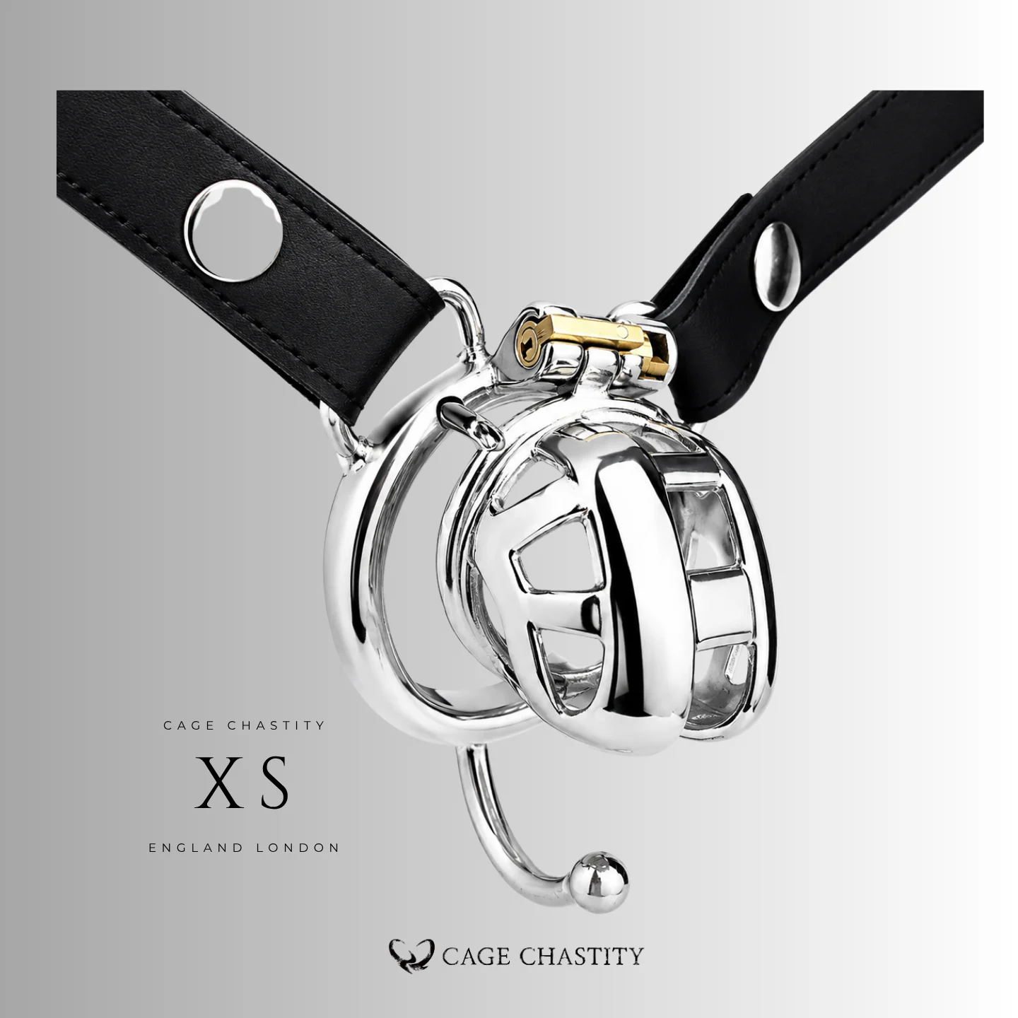 Classic Steel Cobra Lock – CC39