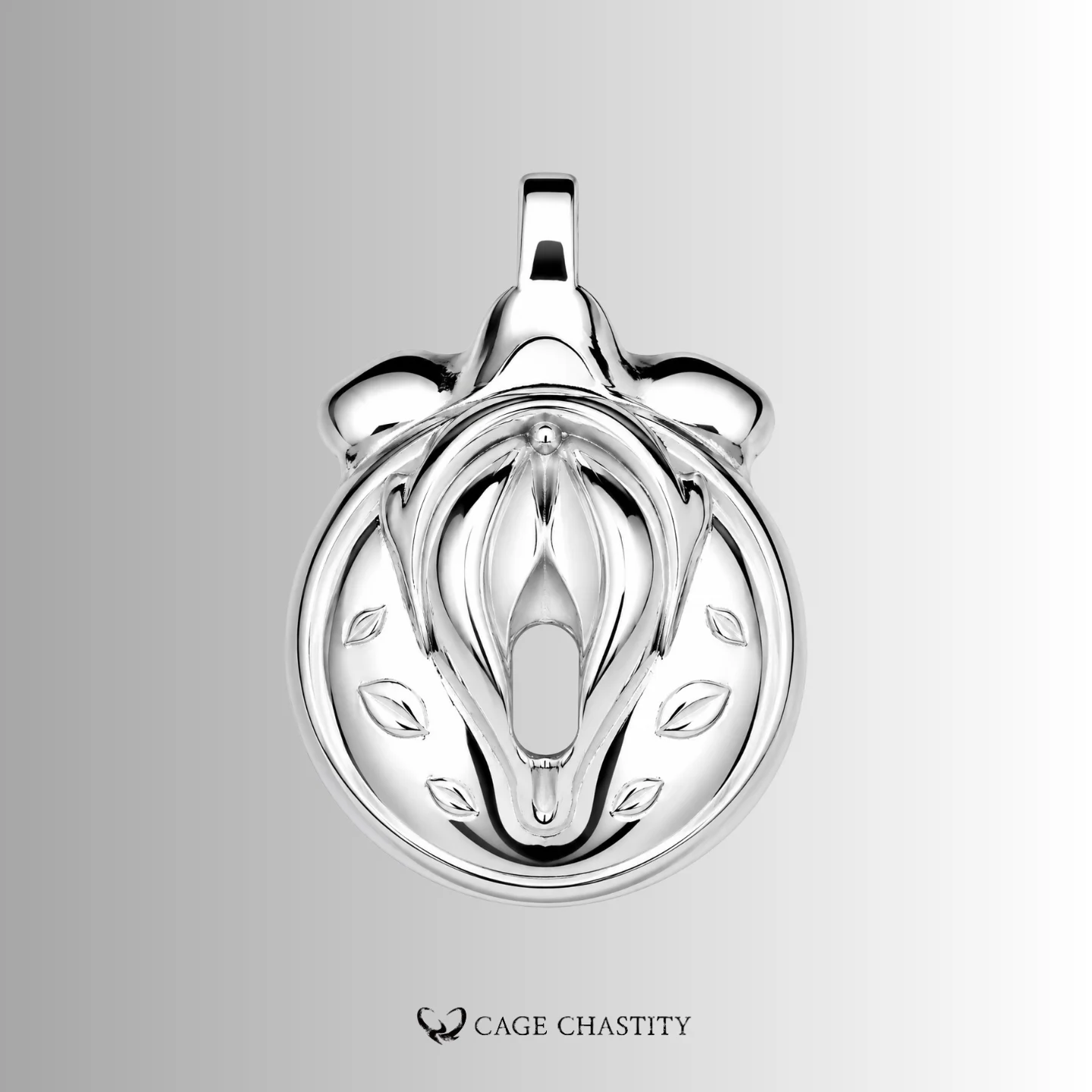 Stainless Steel Pussy-Shaped Chastity Cage – CCK1002