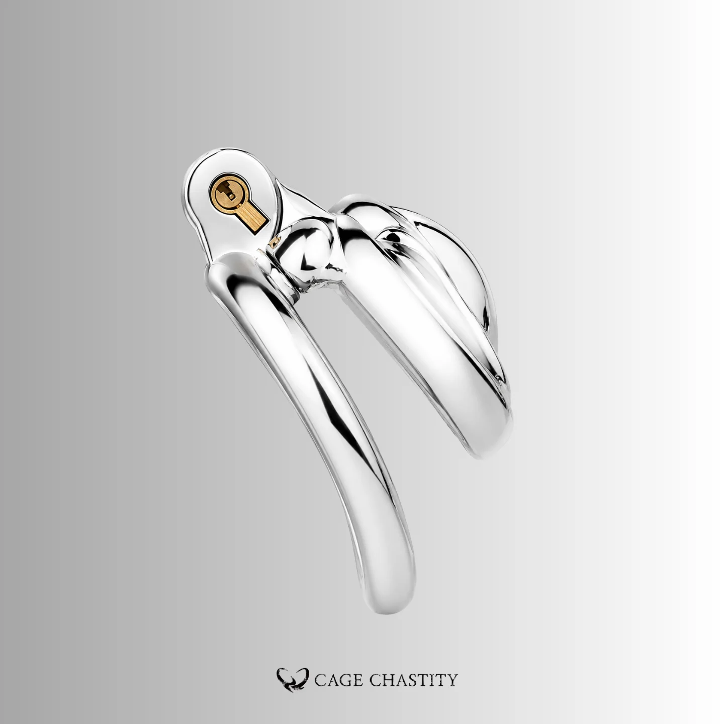 Stainless Steel Pussy-Shaped Chastity Cage – CCK1002