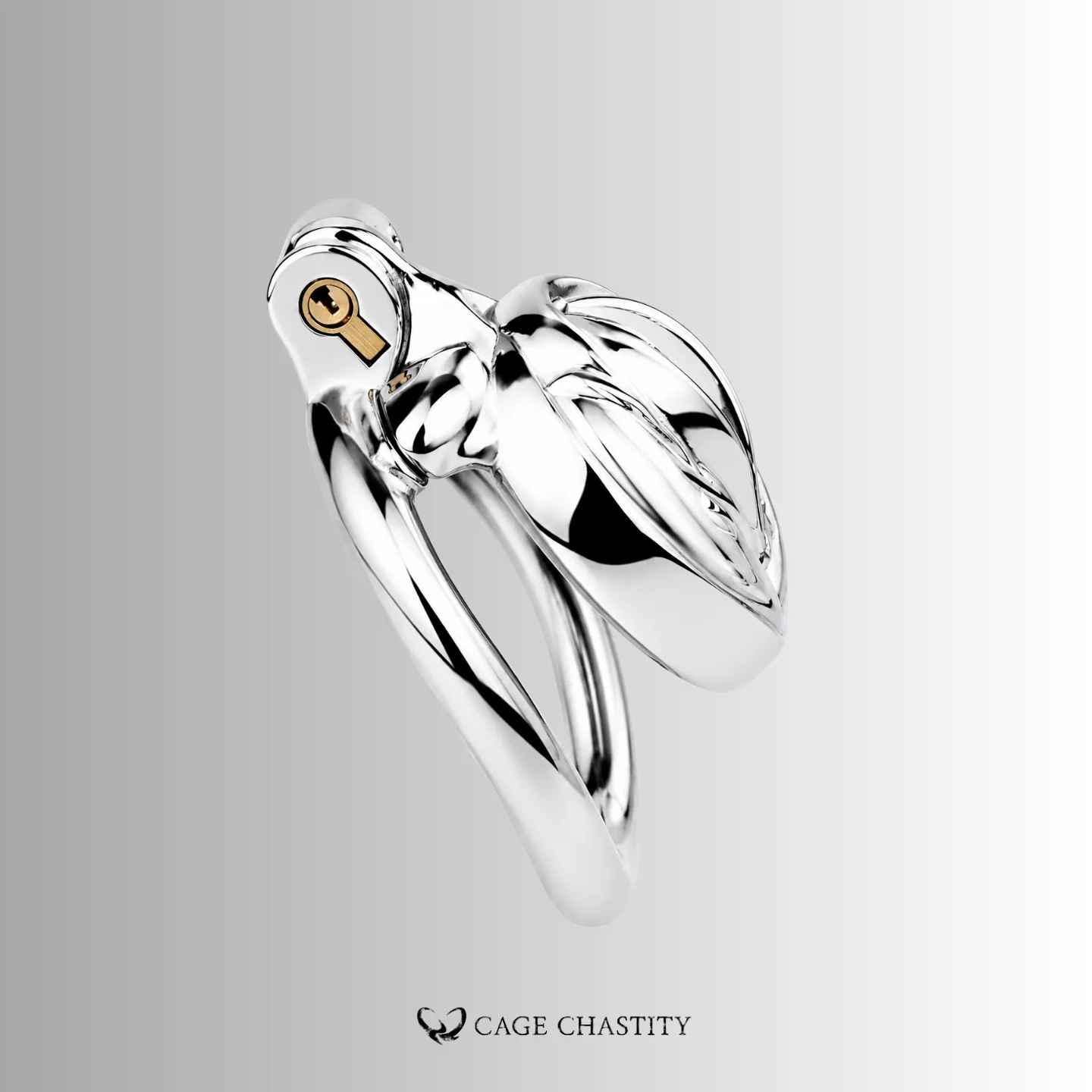 Stainless Steel Pussy-Shaped Chastity Cage – CCK1002