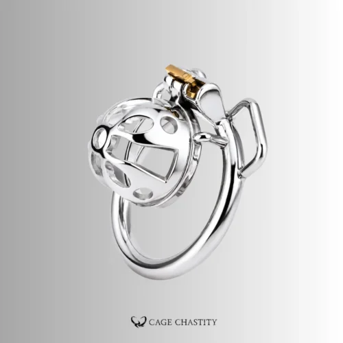 Most Secure Steel Chastity Cage – CCK1176