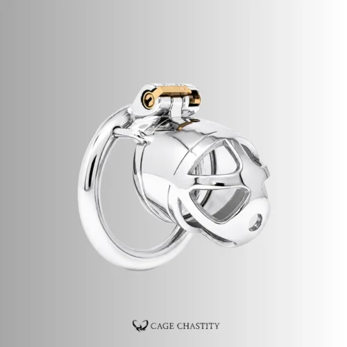 Stainless Male Chastity Cage – CCK1179
