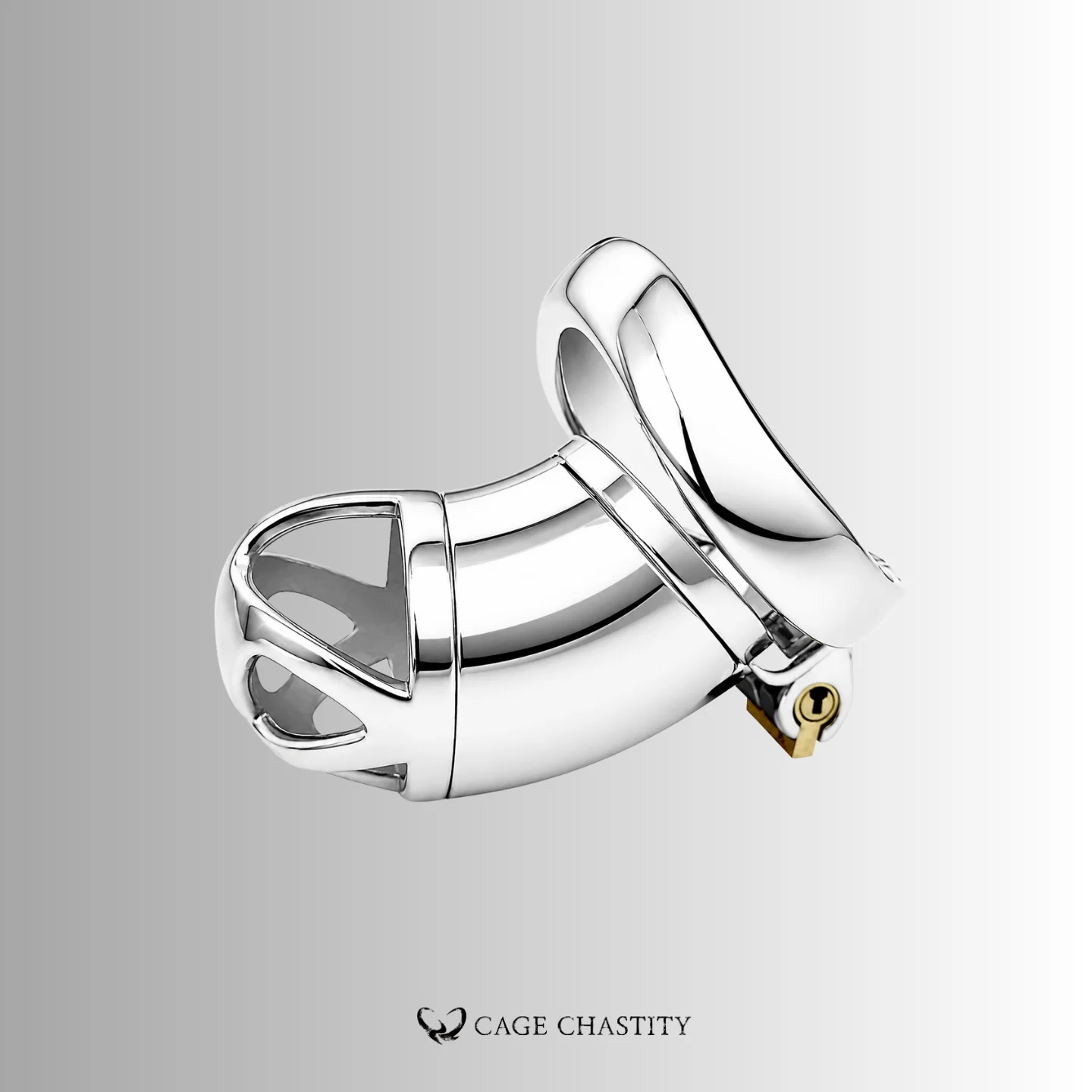 Stainless Male Chastity Cage – CCK1179